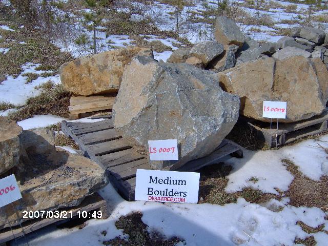 Medium Boulders #LS0007...$100 Loaded on Your Truck or We Can Arrange Shipment